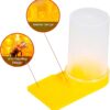 Bee water dispenser