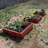 Cedar Raised Garden Bed - Image 4