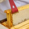 Hive Tool - 2-Pack Frame Lifter & Craw Hive Tool - Image 2