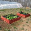Cedar Raised Garden Bed