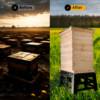 Bee stands for hives