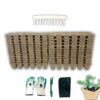 Seedling starter kit