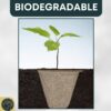 Biodegradable seed starting trays