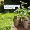 Plant starter trays by SunVara