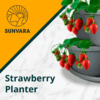 SunVara strawberry tower planter
