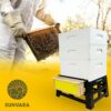 SunVara large honey bee hive box with wax foundation