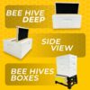 SunVara's deep beehive frame bee super large size